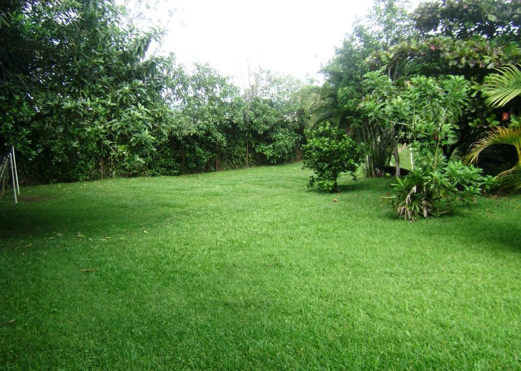 B&B Garden Grecia Chambre photo